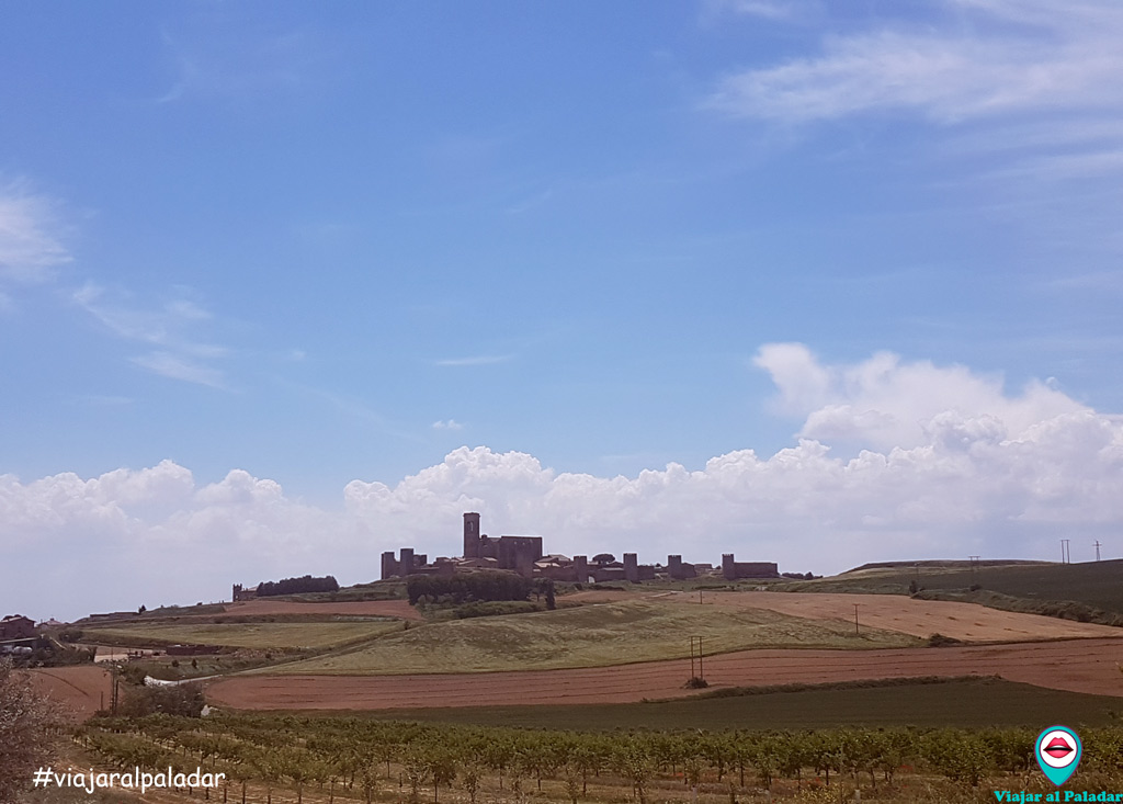 cerco-de-artajona-navarra