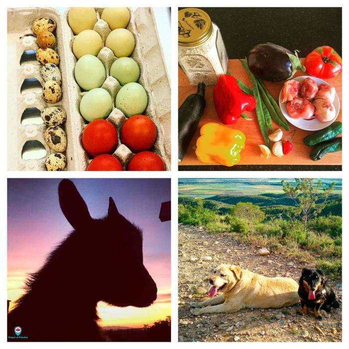 hortelano-y-chef-huerta-navarra