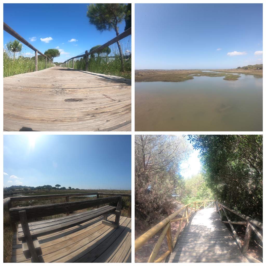 el-rompido-huelva-andalucia