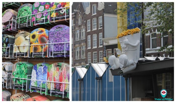 Mercado-de-las-flores-Amsterdam
