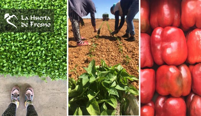 imperiales-alonso-la-baneza