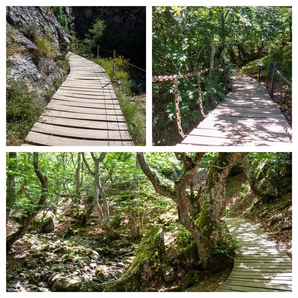 faedo-ciñera-ruta-senderismo