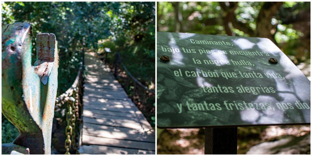 faedo-de-ciñera-senderismo