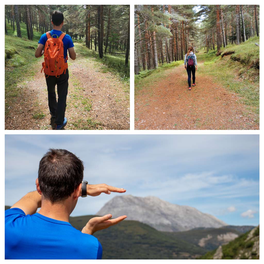 ruta-los-pantanos-pinar-de-velilla