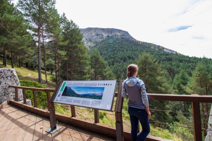 senda-del-pinar-de-velilla