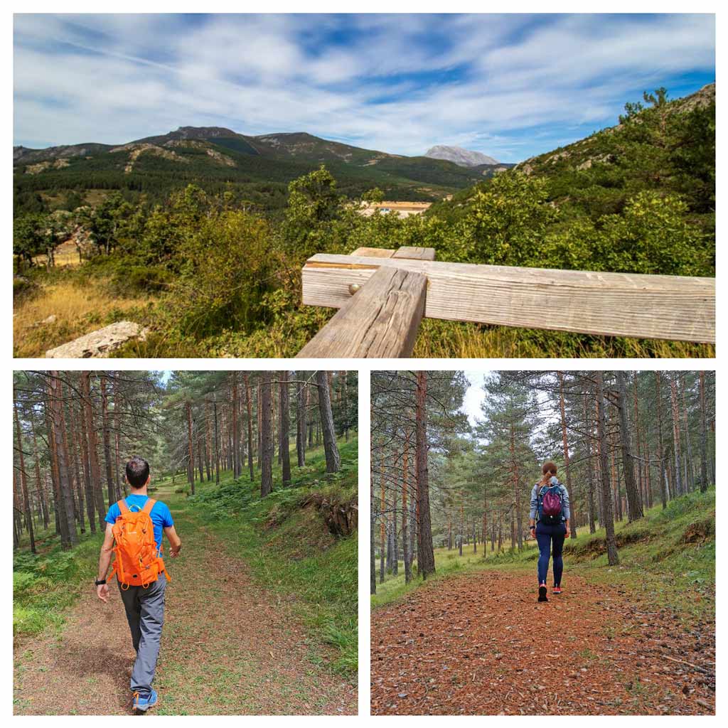 senda-el-pinar-de-velilla-senderismo