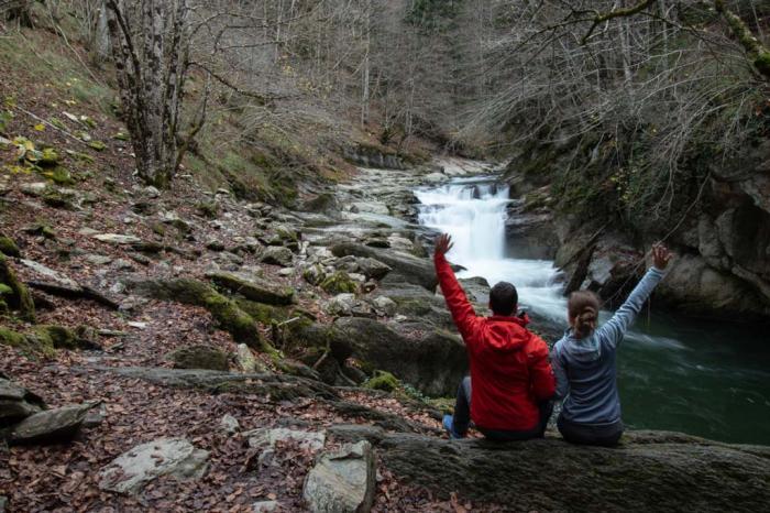 selva-irati-otoño-navarra