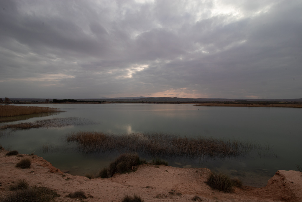 balsa-del-pulguer-navarra