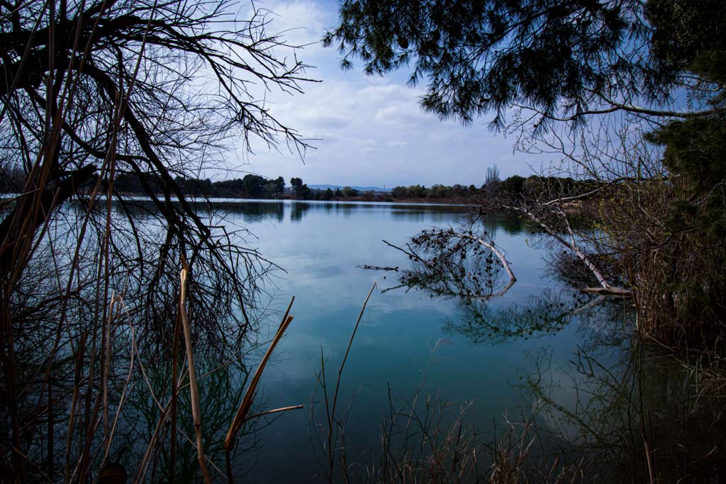 balsa-la-estanca-corella