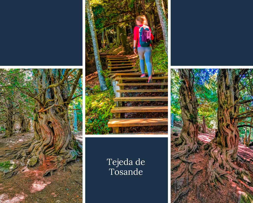 que-ver-que-hacer-en-la-montaña-palentina-Tejeda-de-Tosande