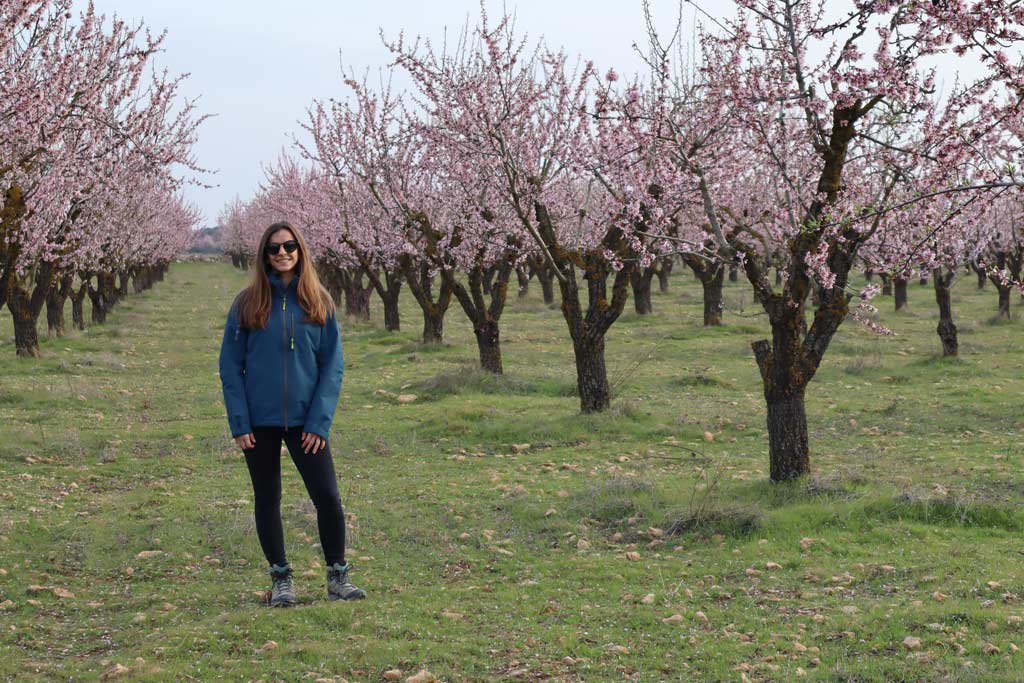 irene nonay almendras leoz