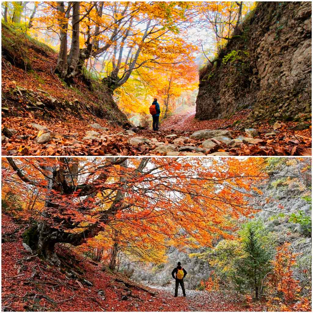 cañon del rio irantzu