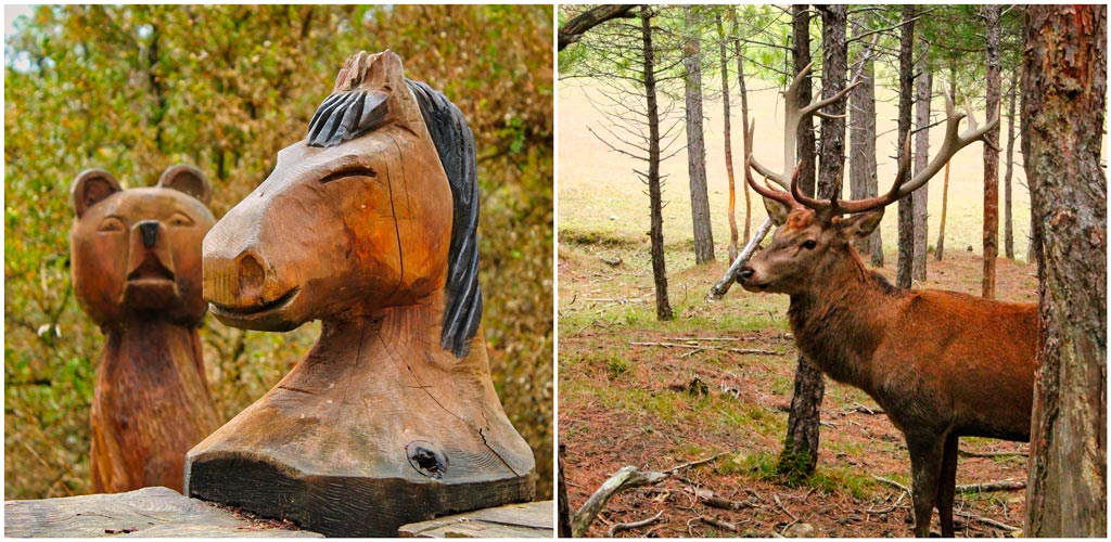 cinco planes con niños pamplona