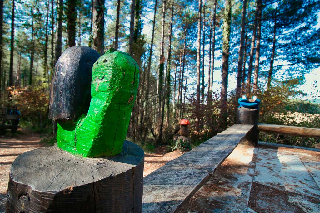 ruta del bosque animado de ilundain