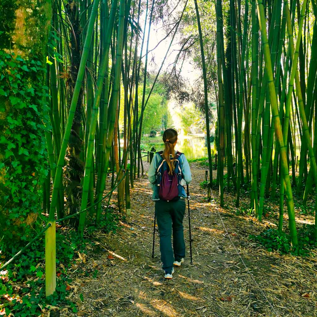 señorio de bertiz que ver que hacer