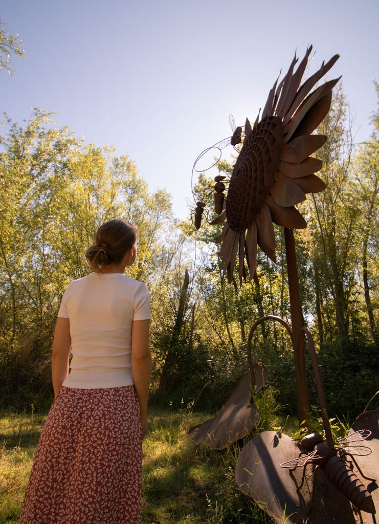 descubre el arte emboscado de almenara de tormes