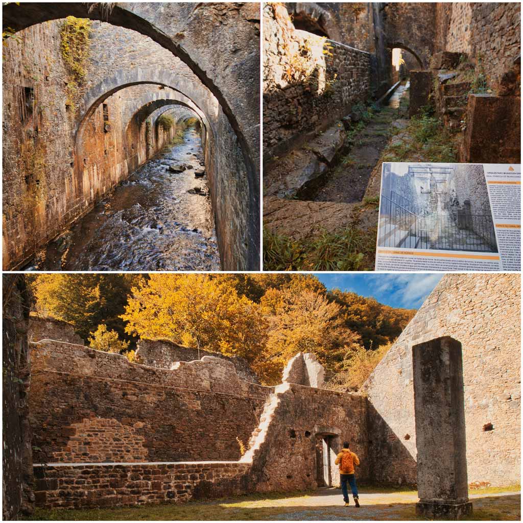 selva de irati orbaiceta