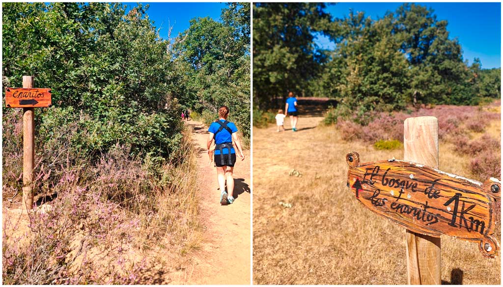 ruta-del-bosque-de-los-enanitos-almanza