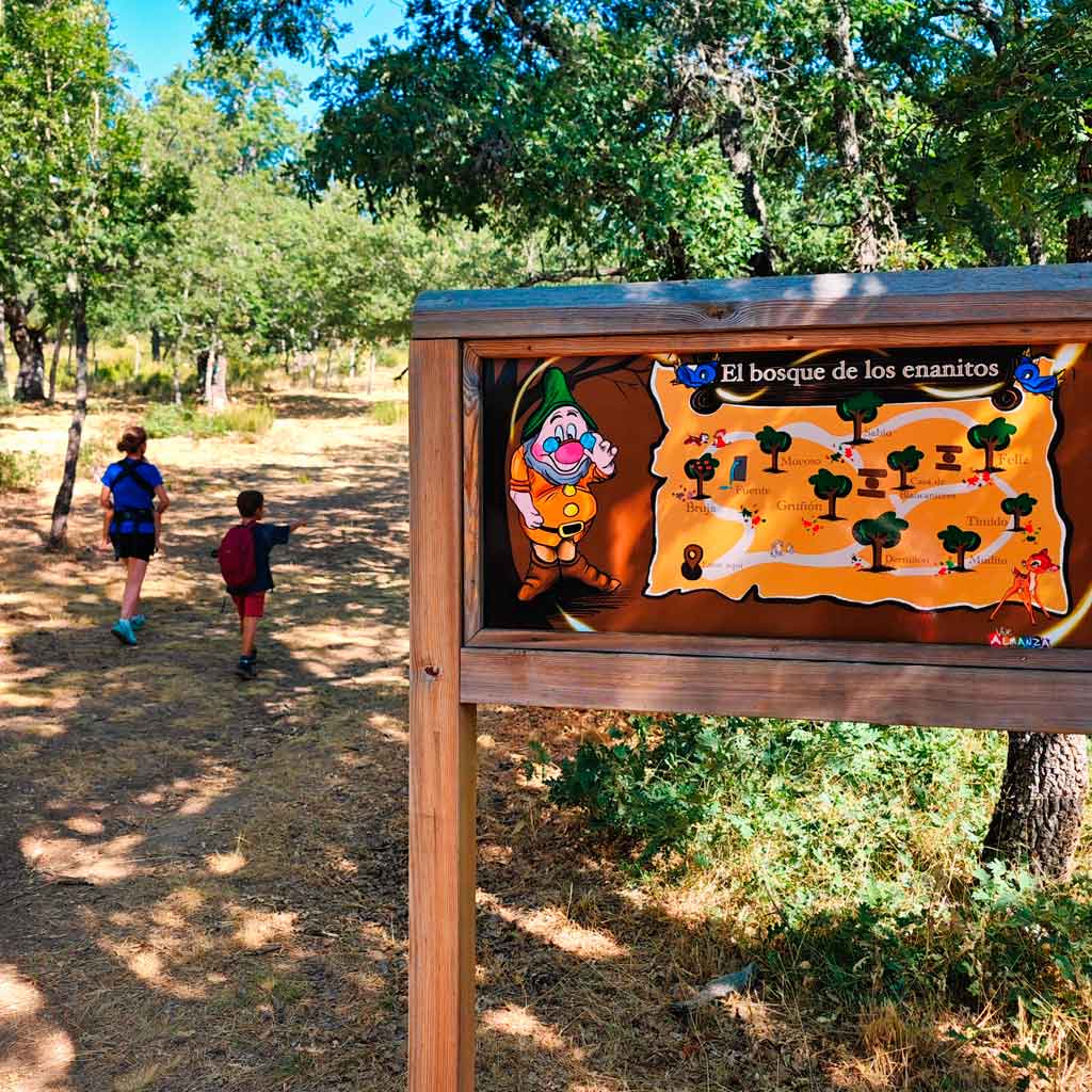 ruta-del-bosque-de-los-enanitos-de-almanza