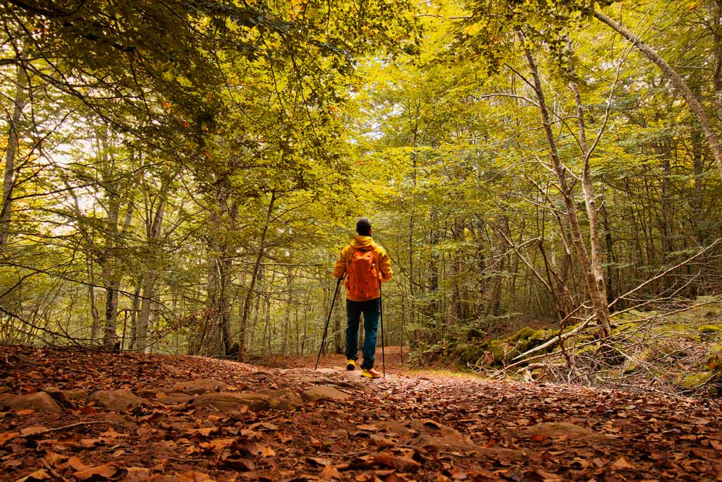 Mirador de Zamariain desde Garaioa